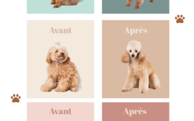 Comment améliorer la conversion de ton site internet ?