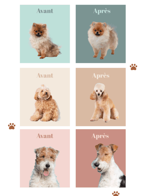 Comment améliorer la conversion de ton site internet ?